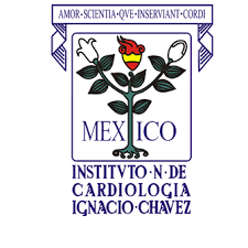 imagen1