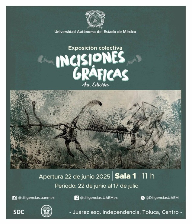 imagen1