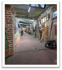 imagen1