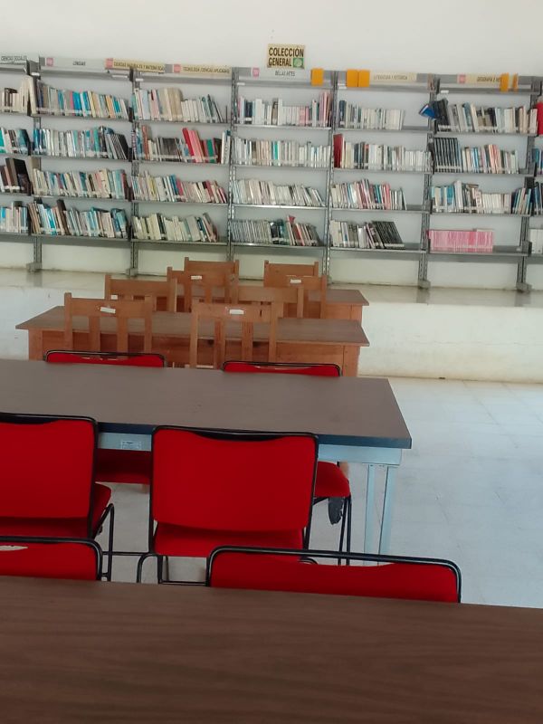 imagen3