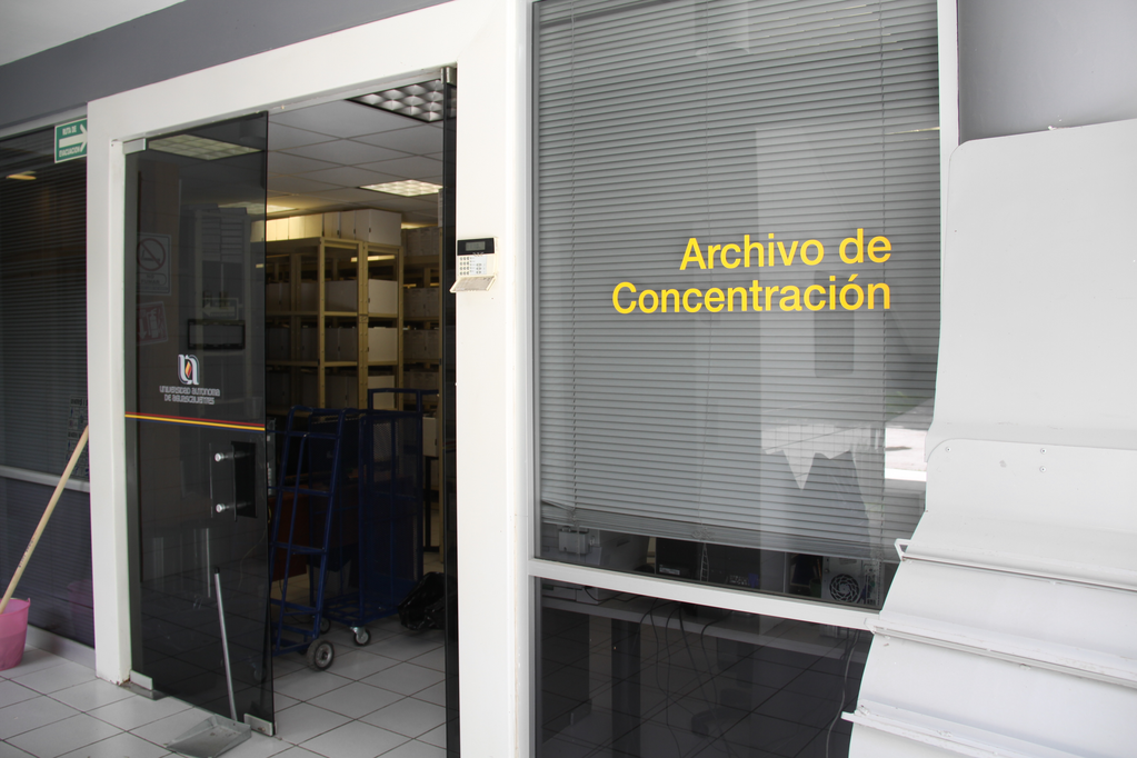 imagen1