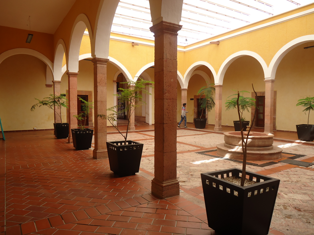 imagen1