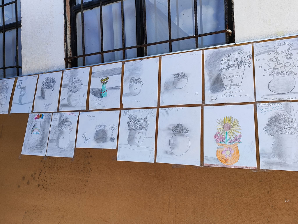 imagen2