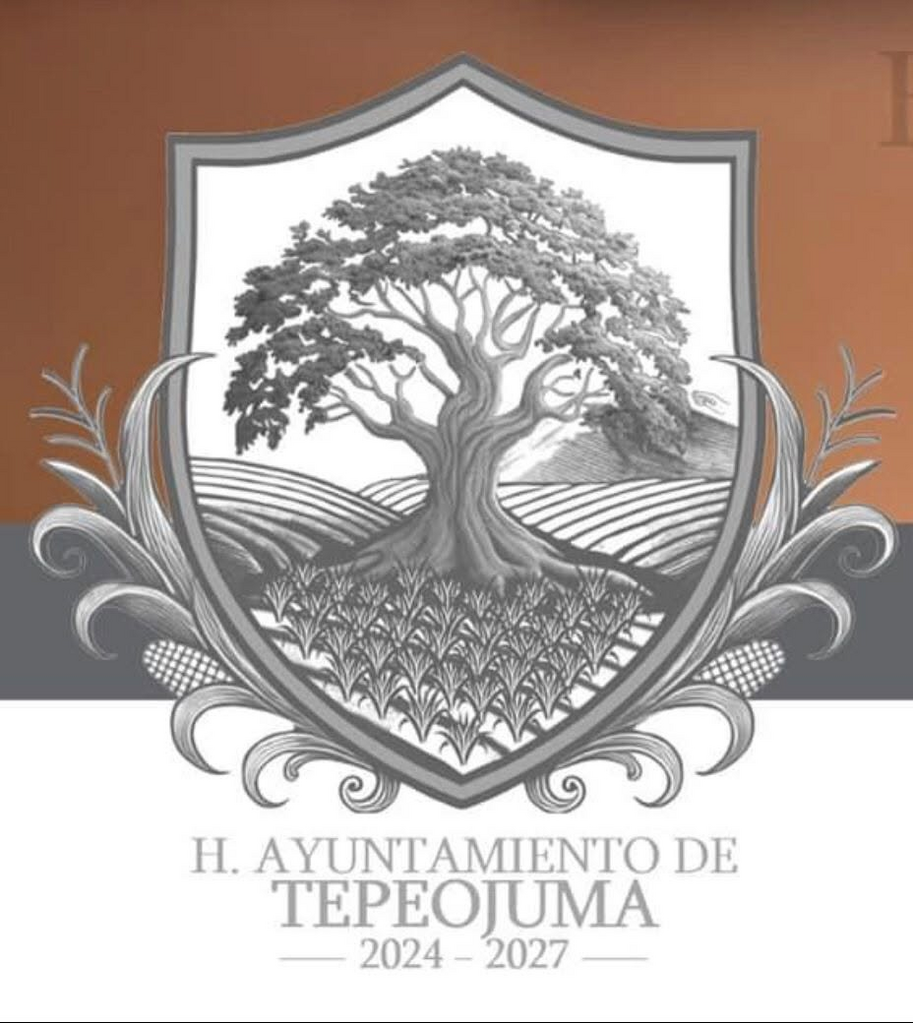 imagen1