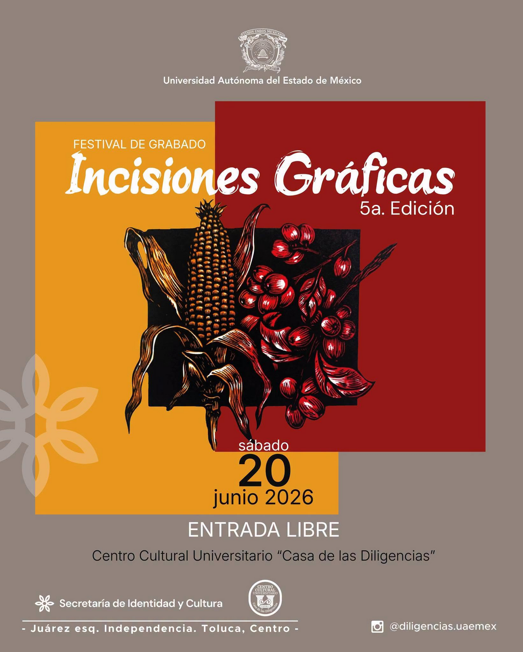 imagen2