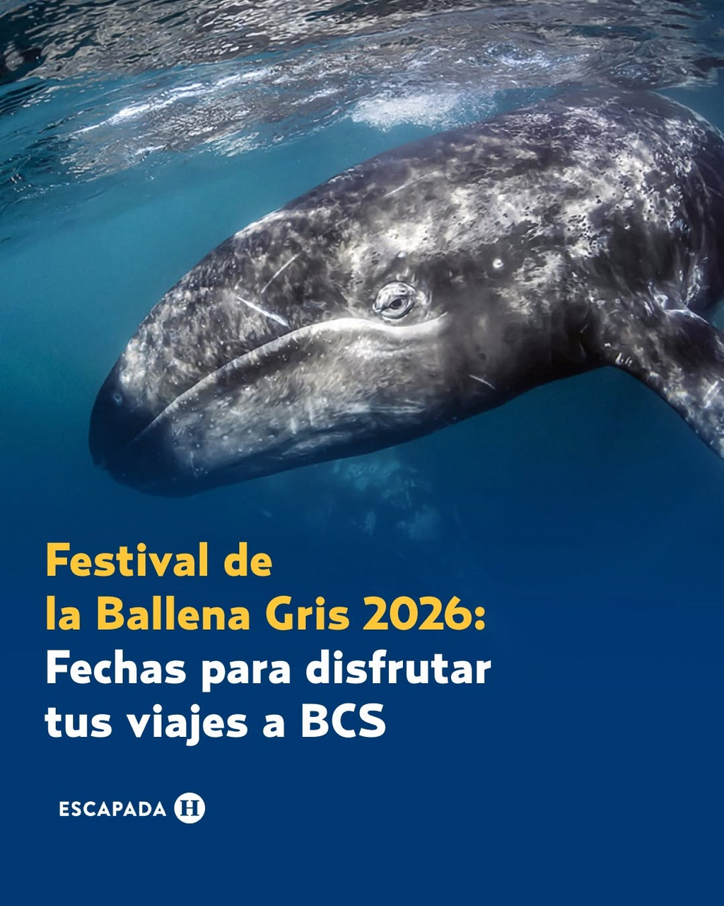 imagen0