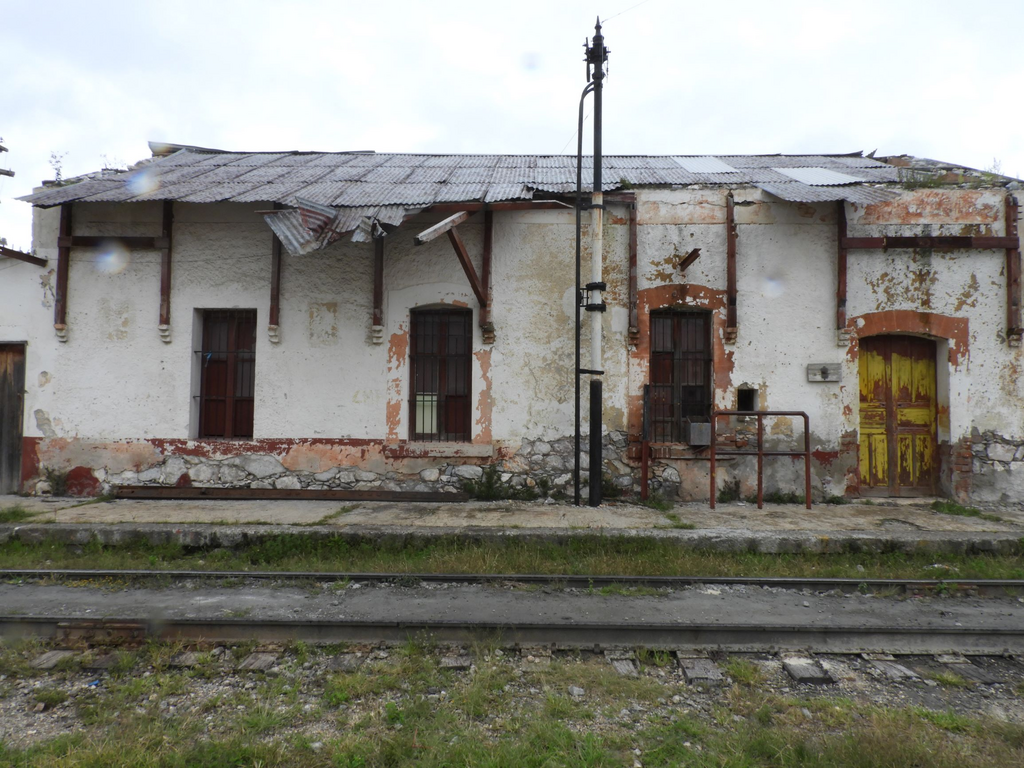 imagen1