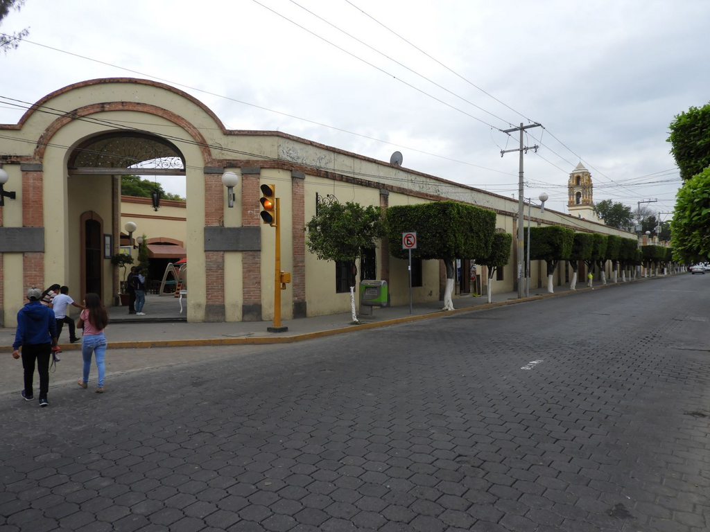 imagen0