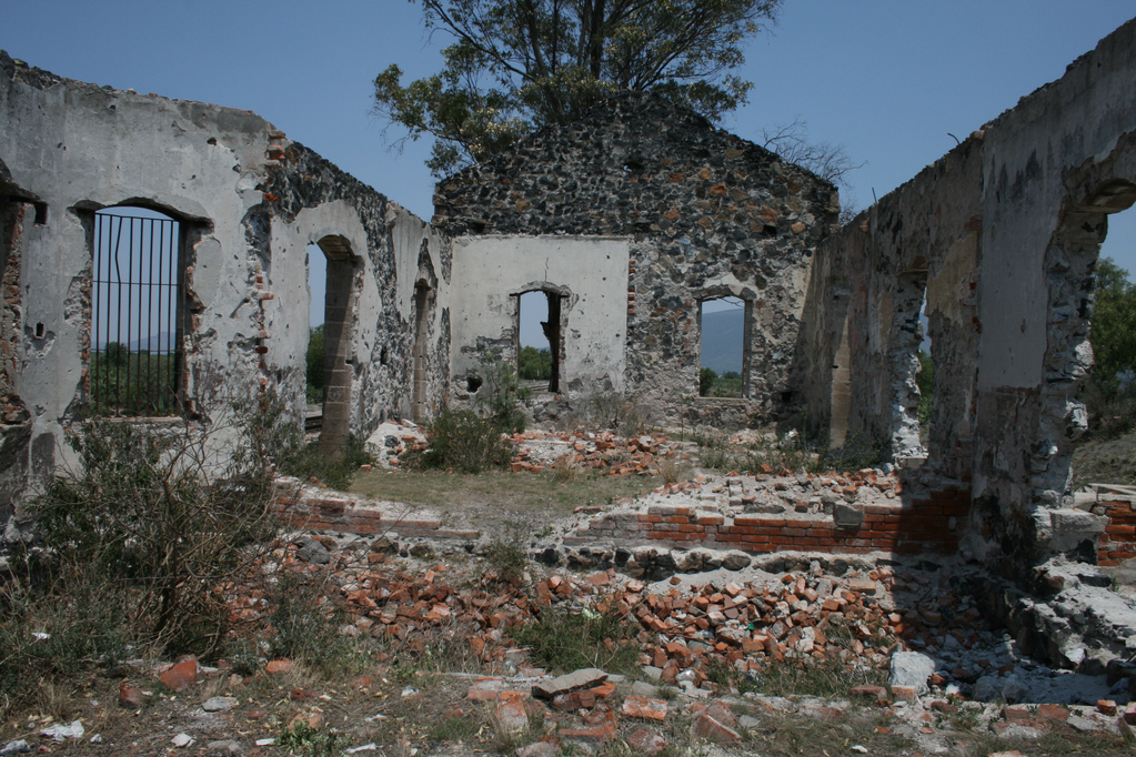 imagen1