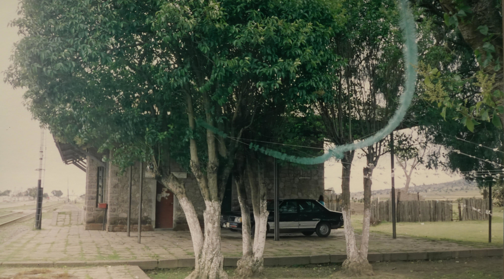 imagen2
