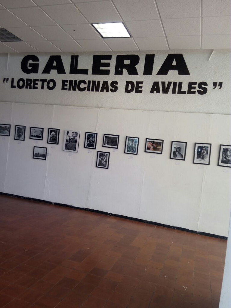 imagen3