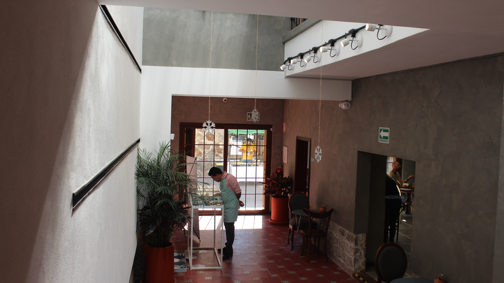 imagen1
