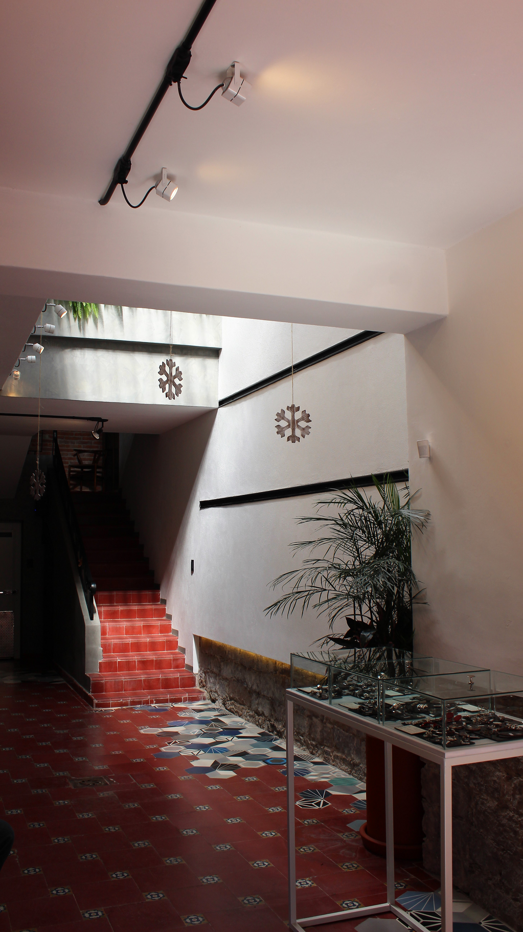 imagen2
