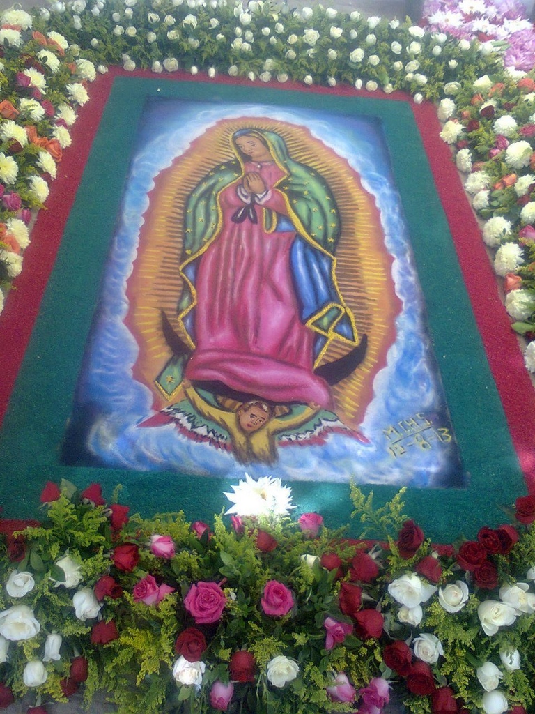 imagen1