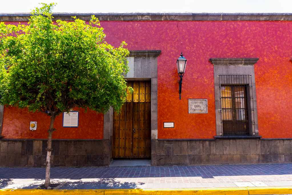 imagen1
