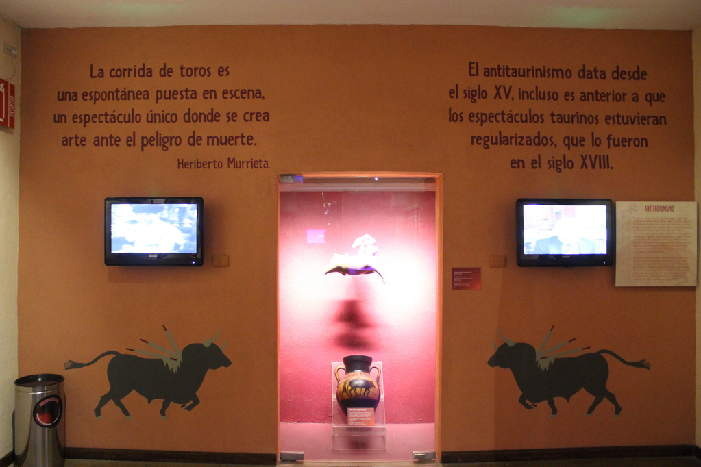 imagen1