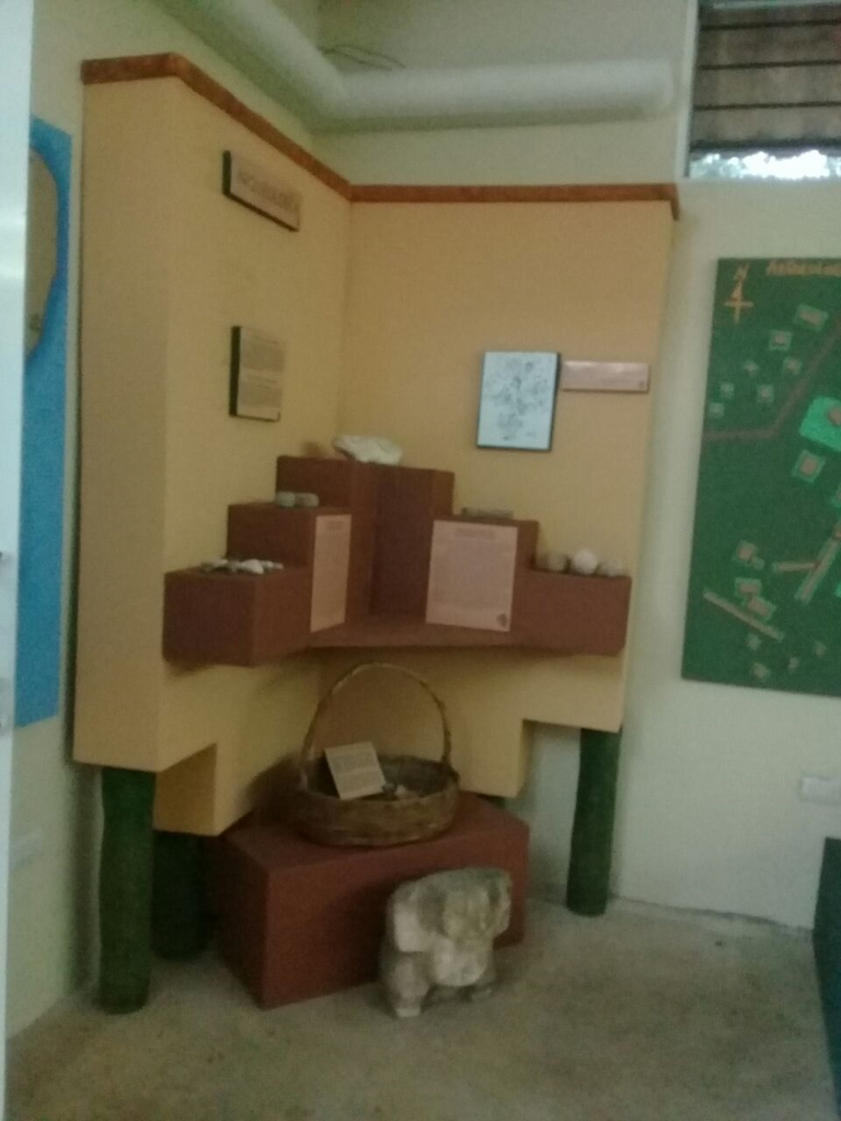 imagen2