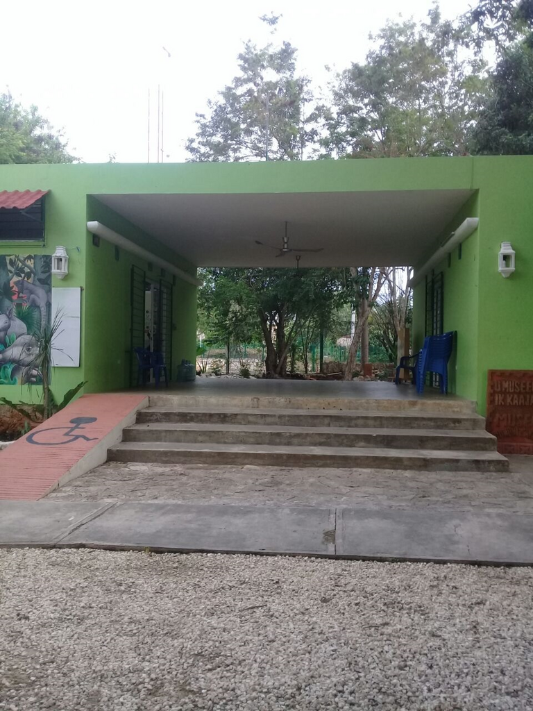 imagen3