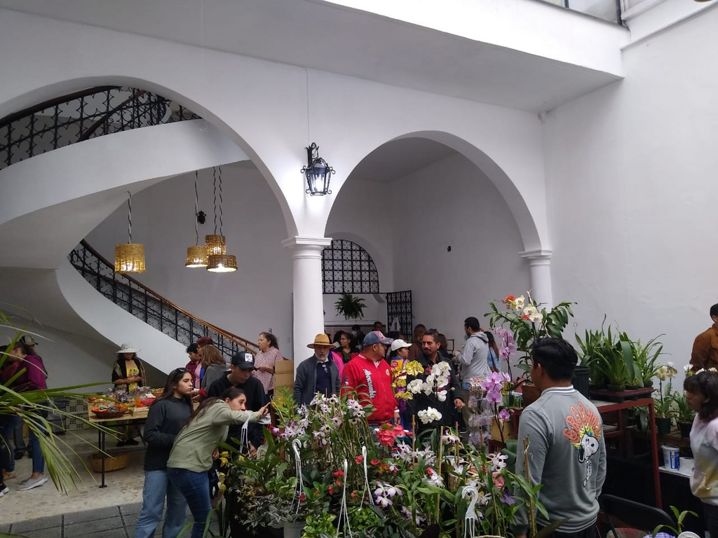 imagen2