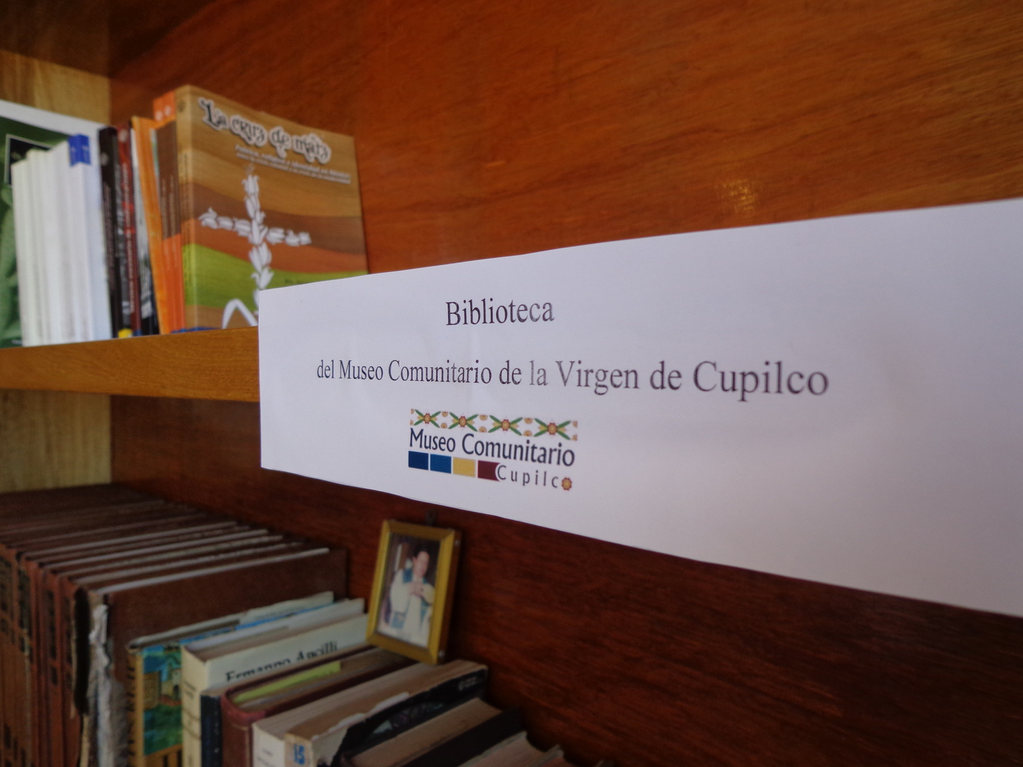 imagen1