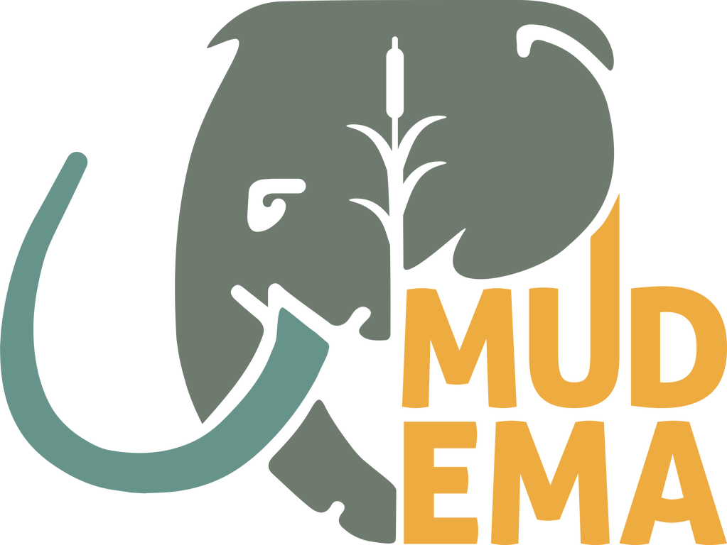 imagen0