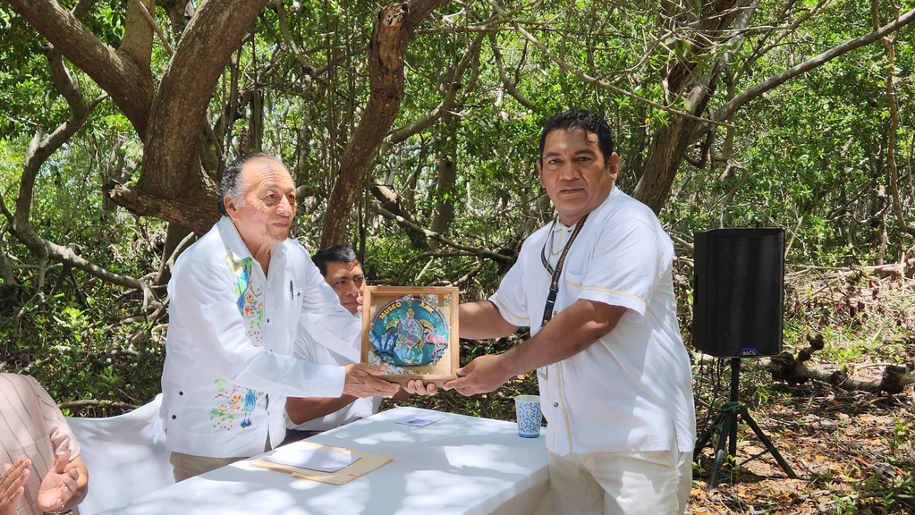 imagen1