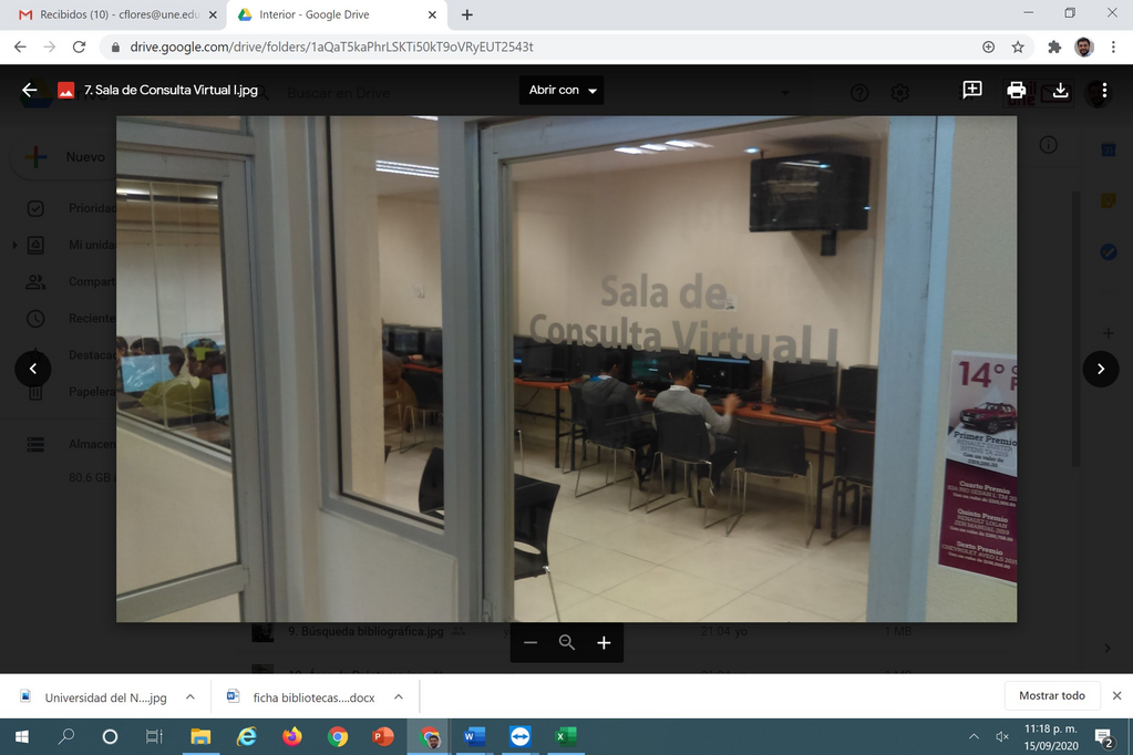 imagen1