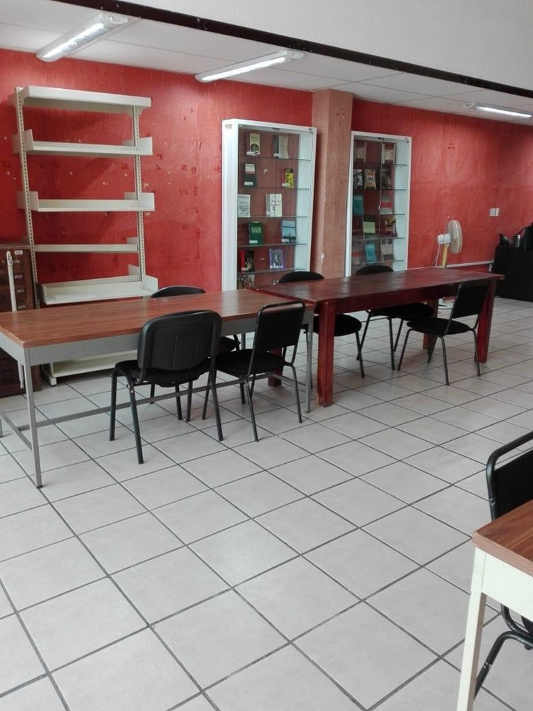 imagen3