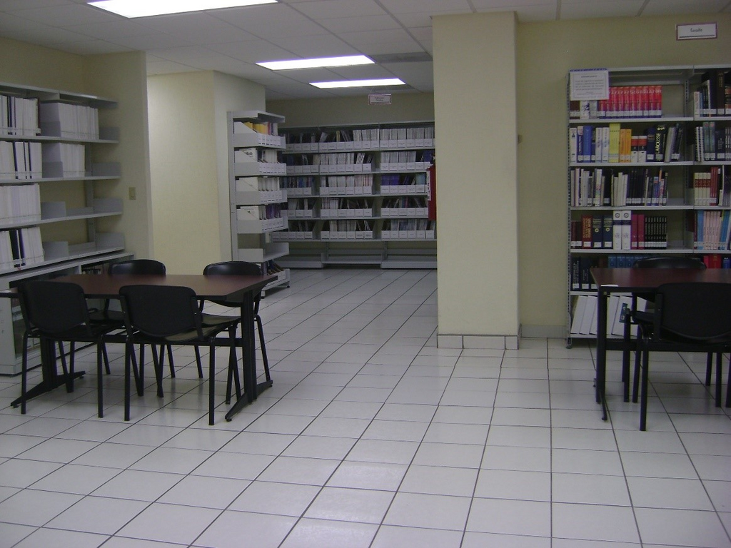 imagen1