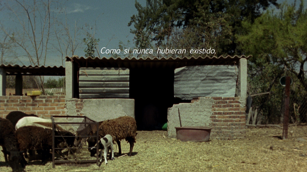 imagen2