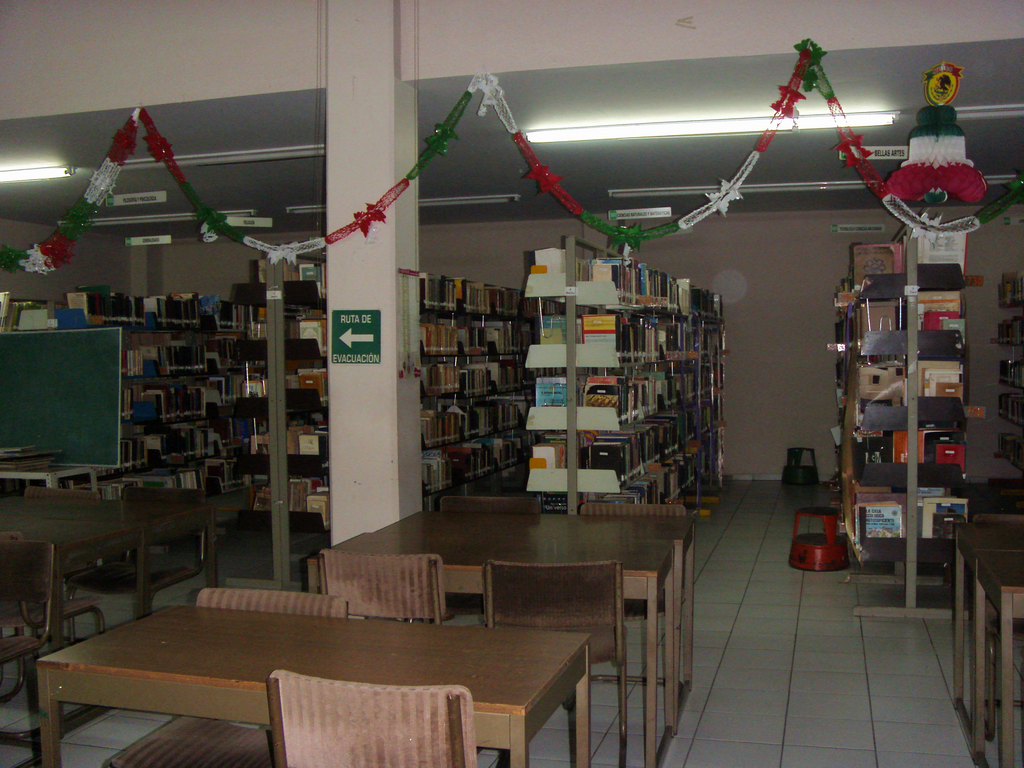 imagen2