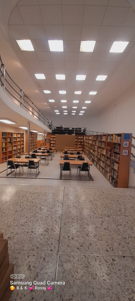 imagen2