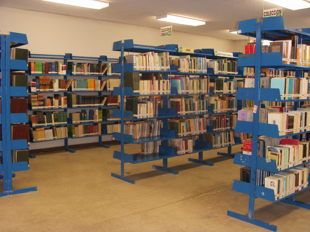 imagen3
