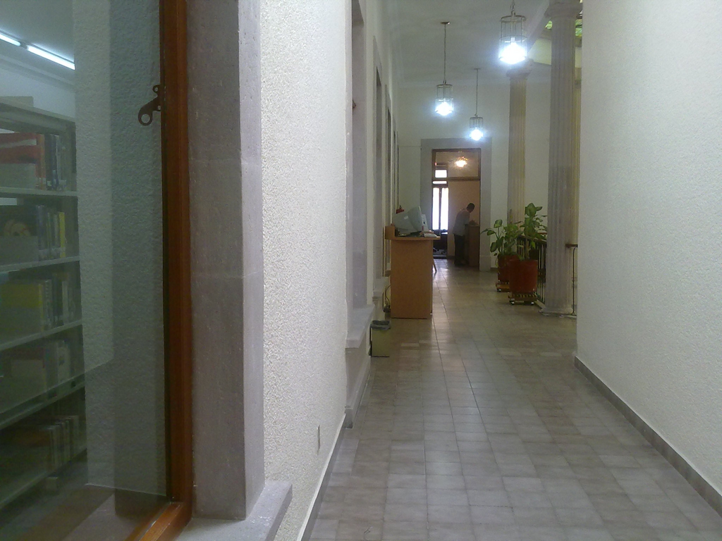 imagen3