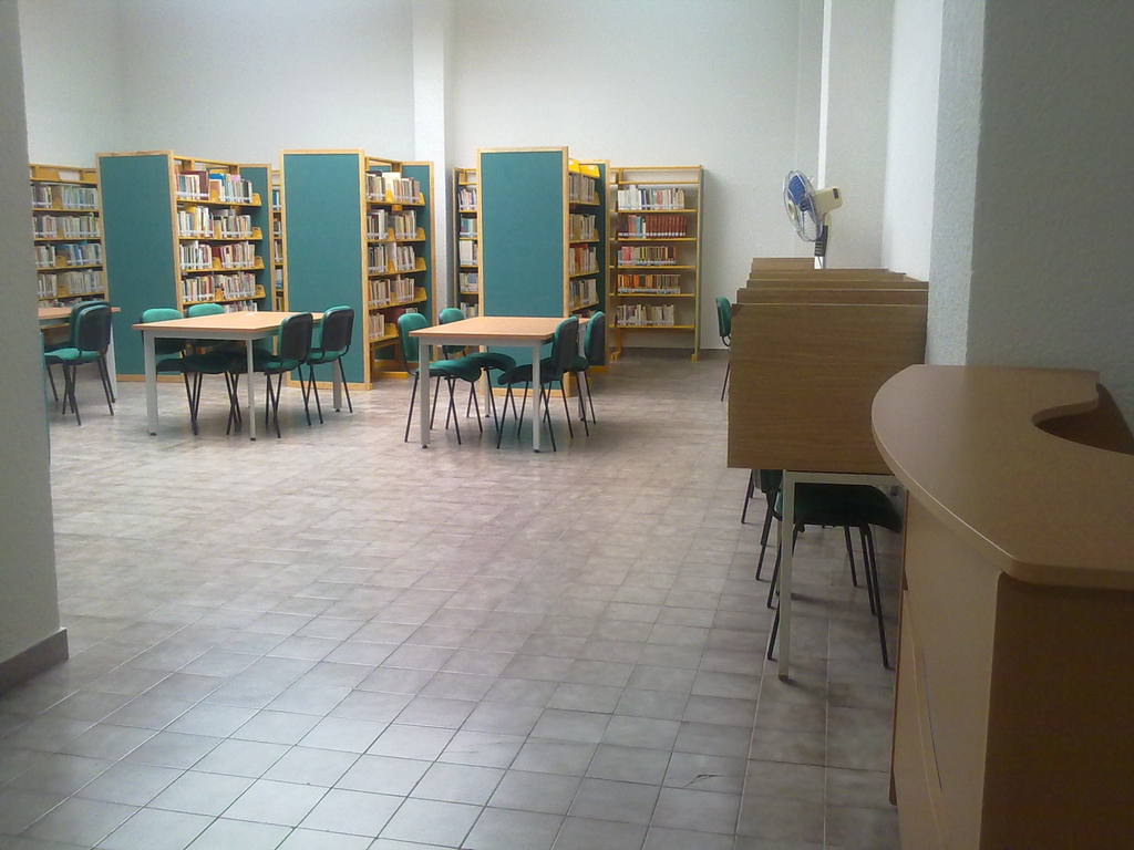 imagen3