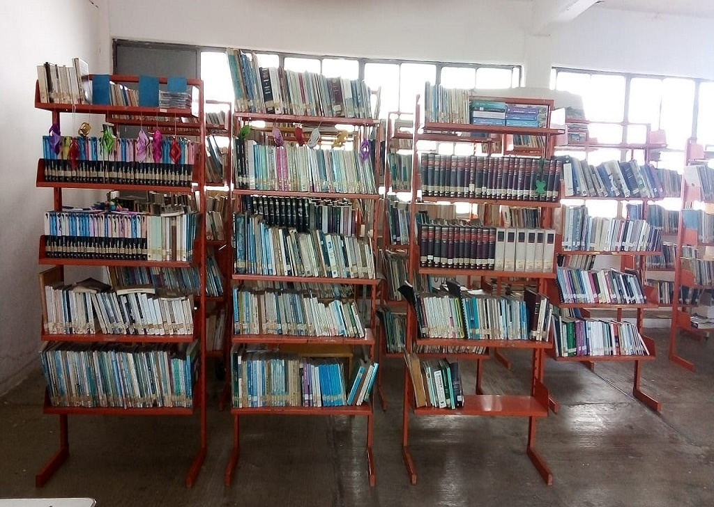 imagen3