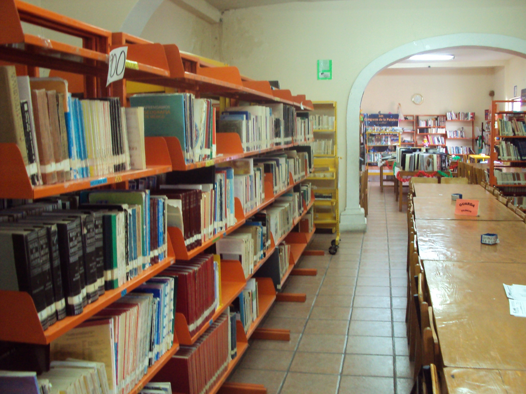 imagen3
