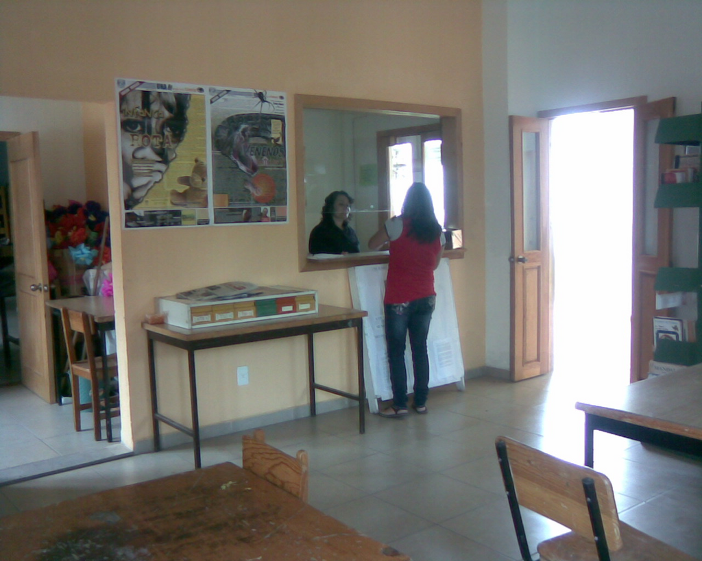 imagen0