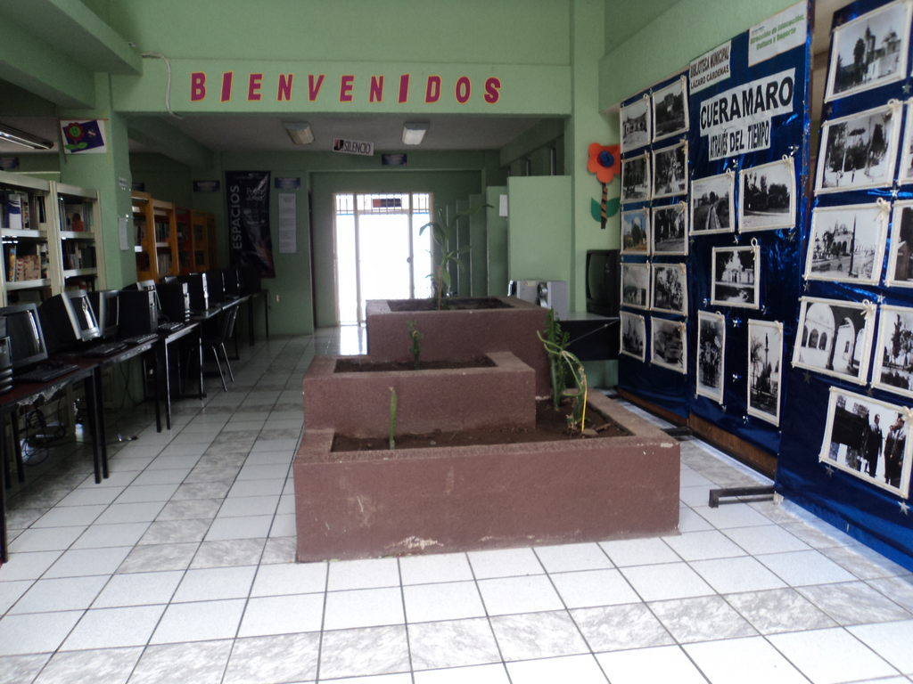 imagen2