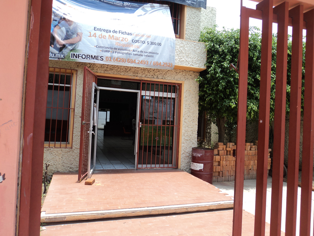imagen1