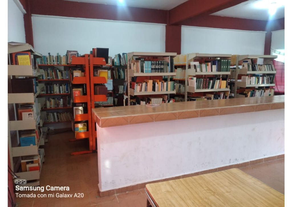 imagen1