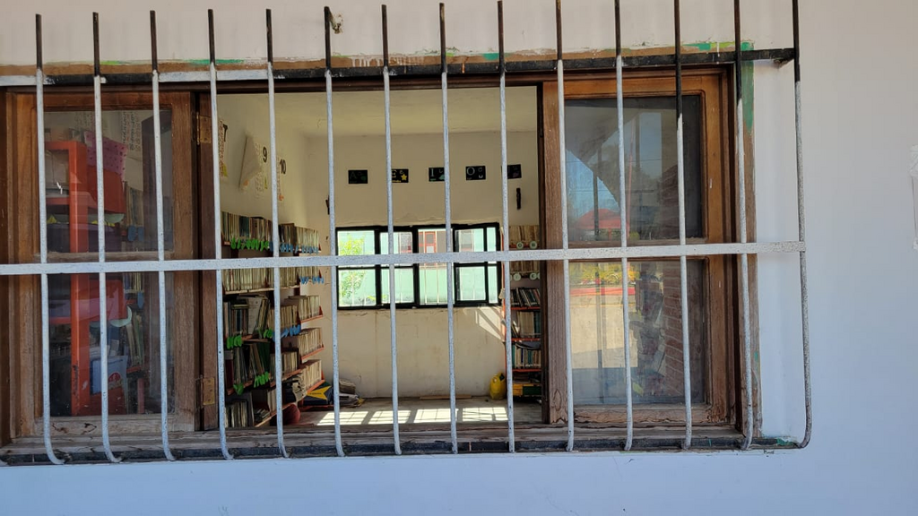 imagen1