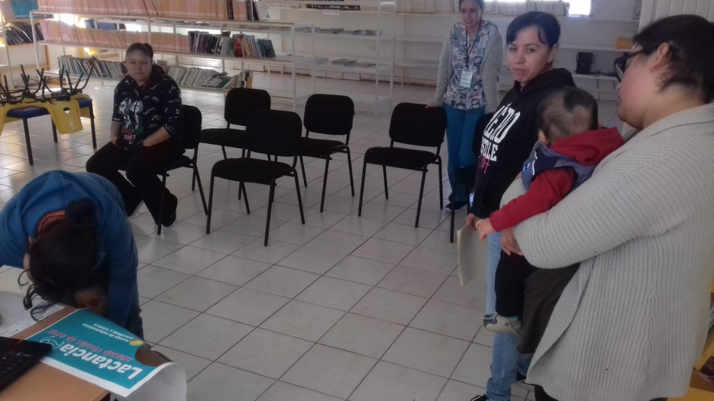 imagen1