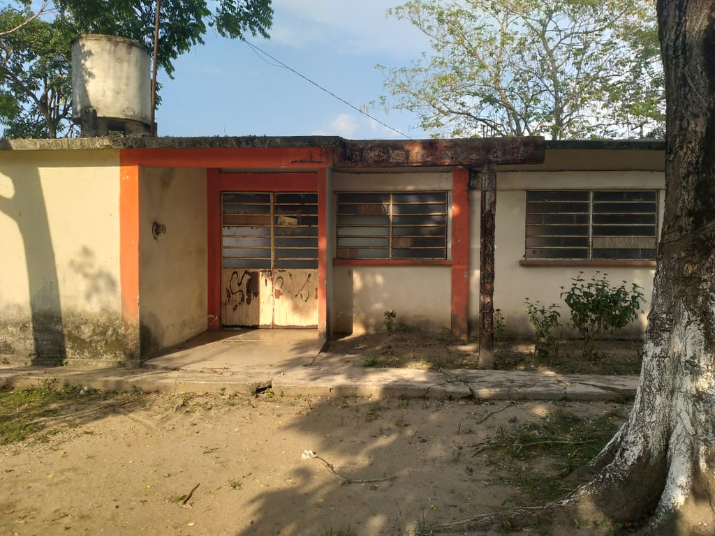 imagen2