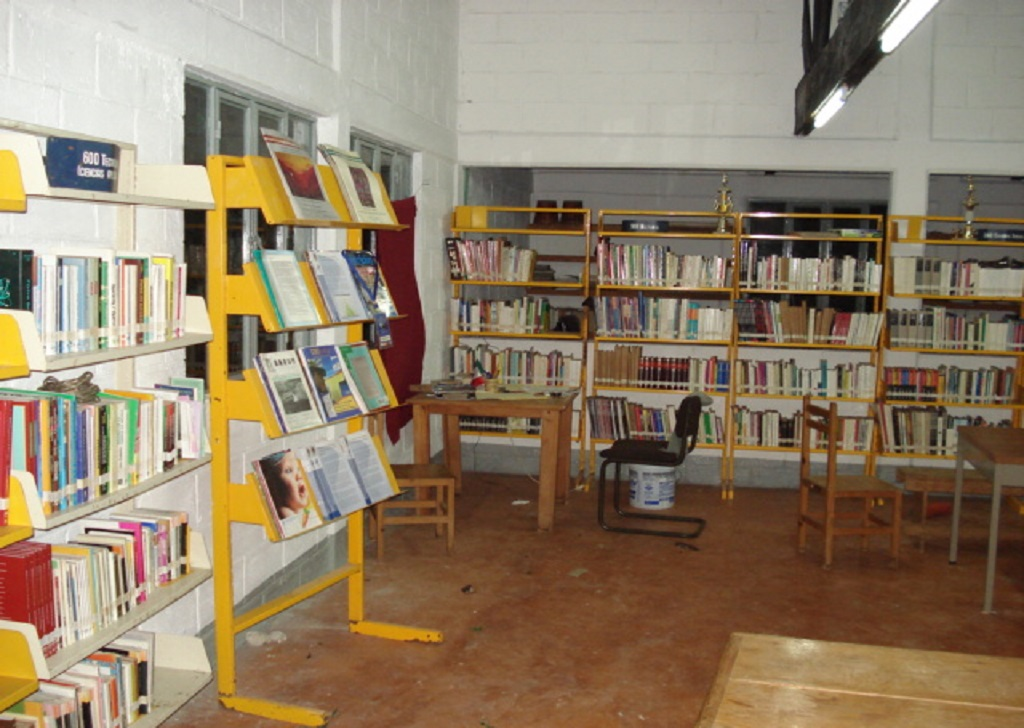 imagen1