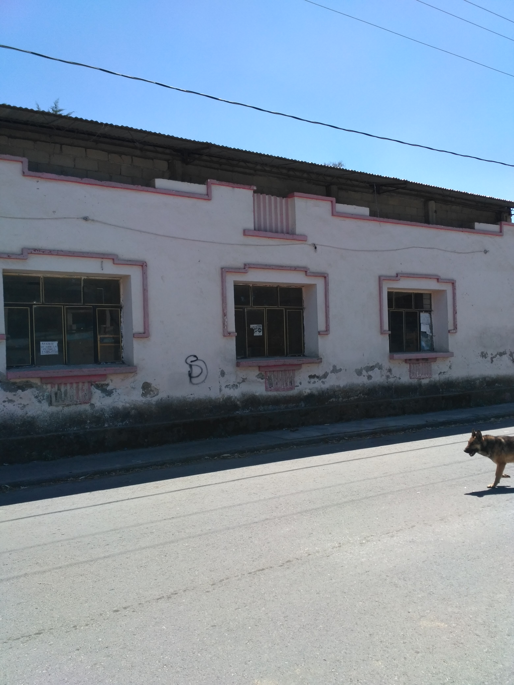 imagen1