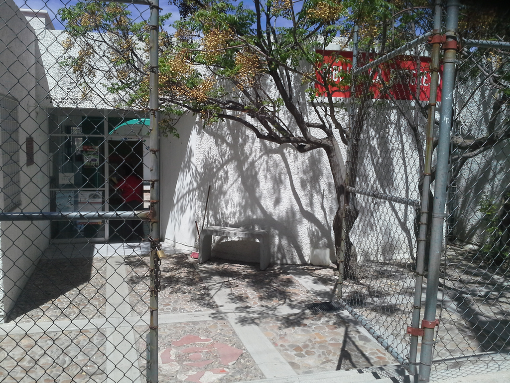 imagen2