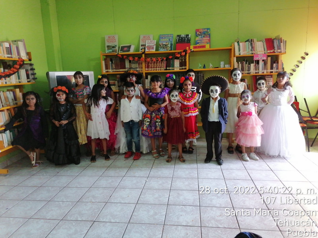 imagen3