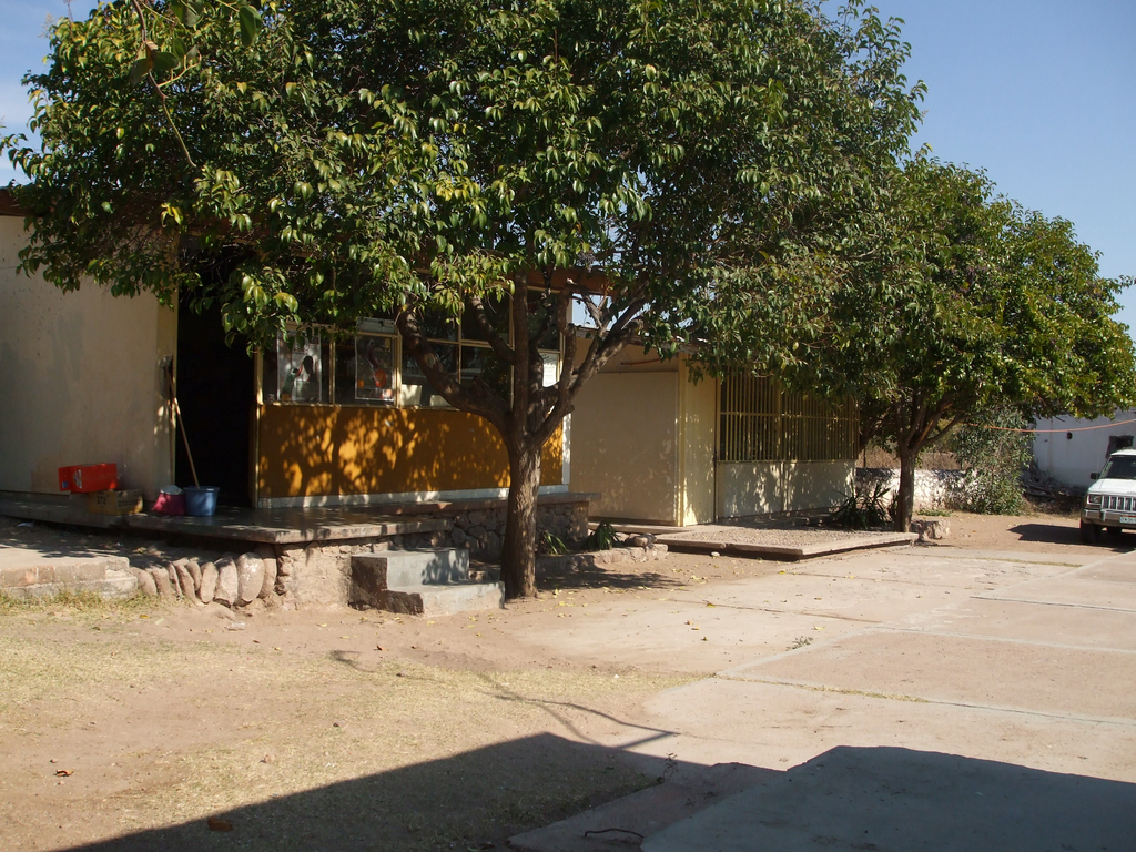 imagen1