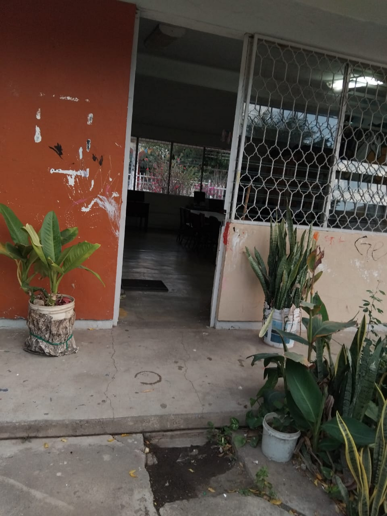 imagen2